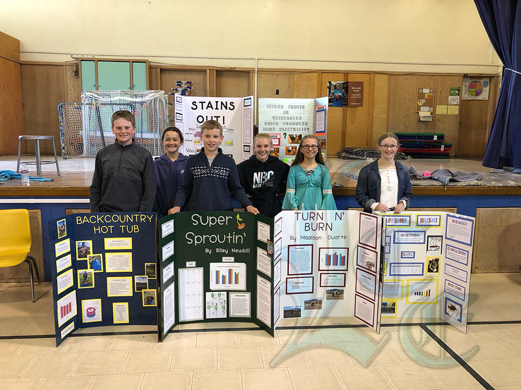 Science fair showcases talent